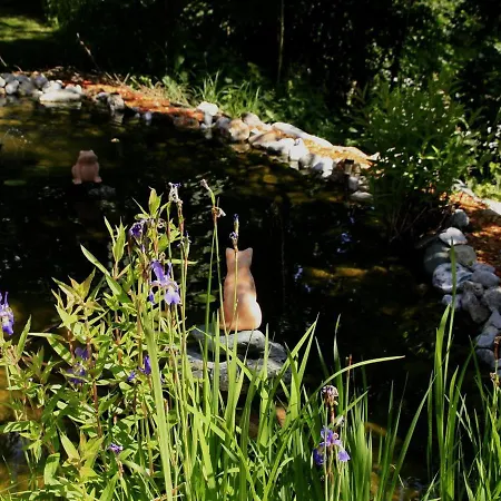 Апартаменты Haus Bodner-scherer *